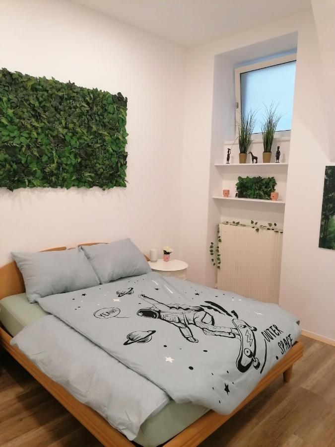 City Apartment Mit Direktzugang 维也纳 外观 照片