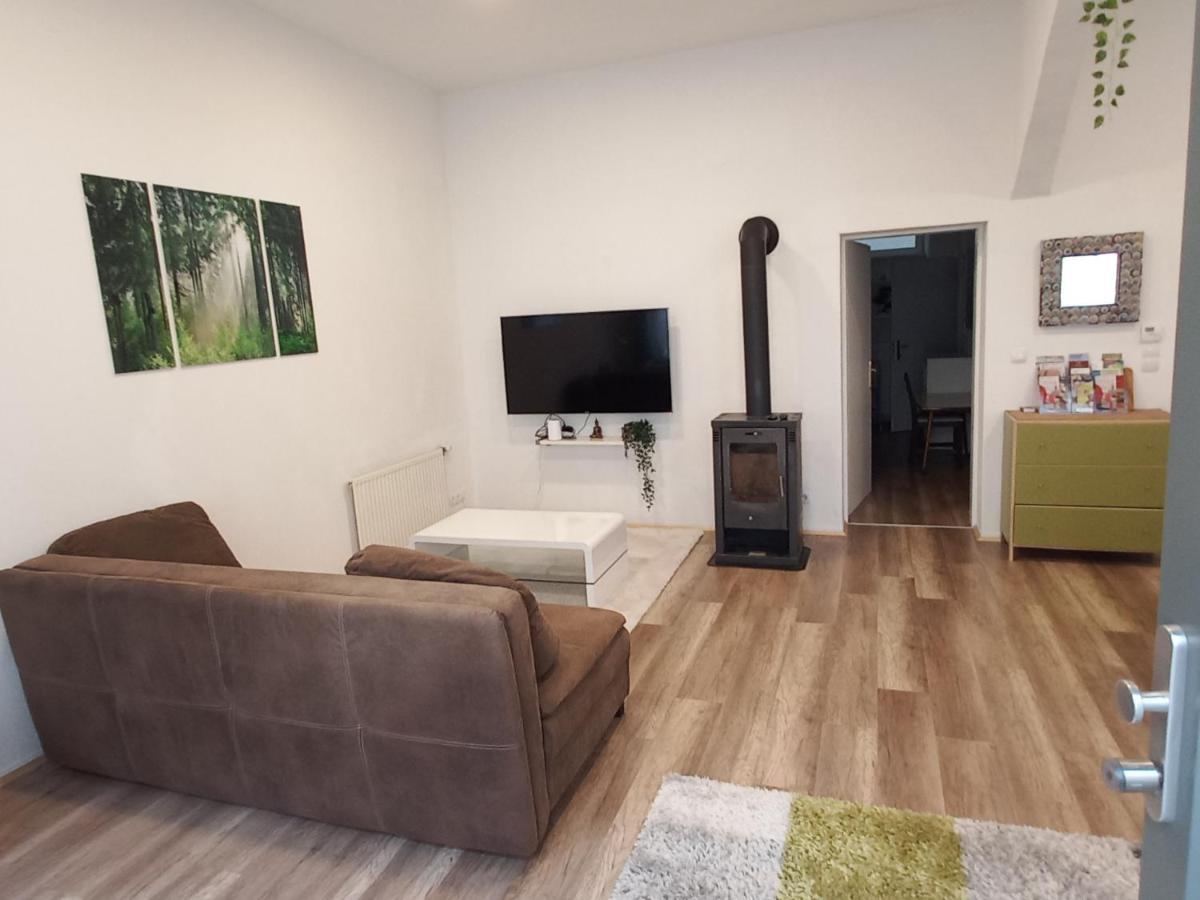 City Apartment Mit Direktzugang 维也纳 外观 照片